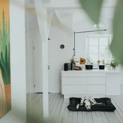 HUNTER Hunde-Bett, BxHxL: 70 X 12 X 100 Cm, Schwarz -Günstiges Tierbedarf Geschäft unnamed file 9595