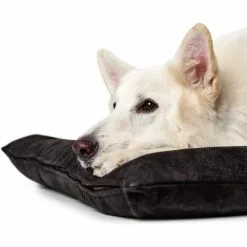 HUNTER Hunde-Bett, BxHxL: 70 X 12 X 100 Cm, Schwarz -Günstiges Tierbedarf Geschäft unnamed file 9597