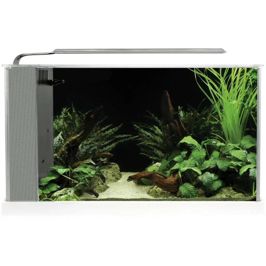 Fluval Spec 5 Nano Becken Set 5 Fluval Spec 5 Nano Becken Set – Bild 3
