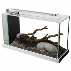 Fluval Spec 5 Nano Becken Set 13 Fluval Spec 5 Nano Becken Set -Günstiges Tierbedarf Geschäft unnamed file 963