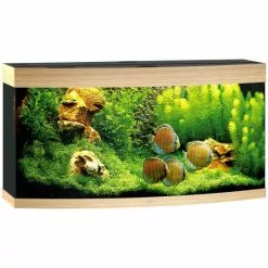 JUWEL AQUARIUM Vision 260 LED Aquarium -Günstiges Tierbedarf Geschäft unnamed file 965