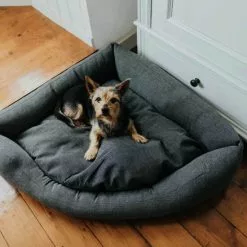 HUNTER Hunde-Sofa, BxHxL: 65 X 20 X 80 Cm, Anthrazit -Günstiges Tierbedarf Geschäft unnamed file 9660