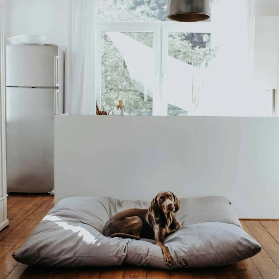 HUNTER Hunde-Bett, BxHxL: 145 X 15 X 175 Cm, Grau 4 HUNTER Hunde-Bett, BxHxL: 145 X 15 X 175 Cm, Grau – Bild 2