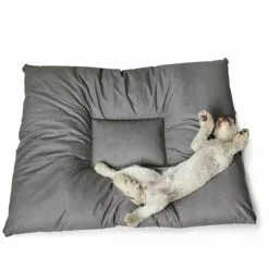 HUNTER Hunde-Bett, BxHxL: 145 X 15 X 175 Cm, Grau 15 HUNTER Hunde-Bett, BxHxL: 145 X 15 X 175 Cm, Grau -Günstiges Tierbedarf Geschäft unnamed file 9671