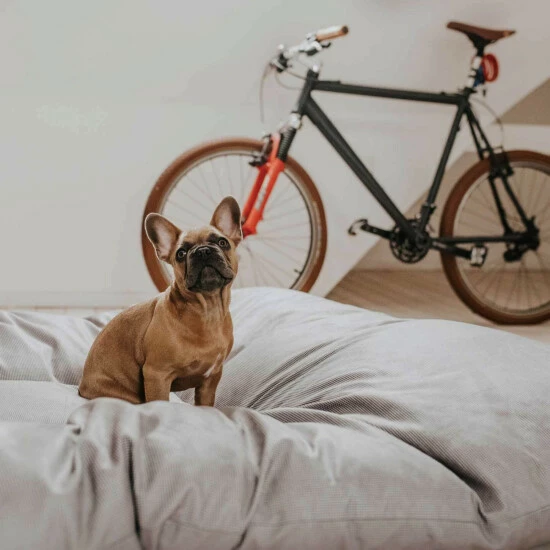 HUNTER Hunde-Bett, BxHxL: 145 X 15 X 175 Cm, Grau 8 HUNTER Hunde-Bett, BxHxL: 145 X 15 X 175 Cm, Grau – Bild 6