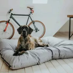 HUNTER Hunde-Bett, BxHxL: 145 X 15 X 175 Cm, Grau 20 HUNTER Hunde-Bett, BxHxL: 145 X 15 X 175 Cm, Grau -Günstiges Tierbedarf Geschäft unnamed file 9676