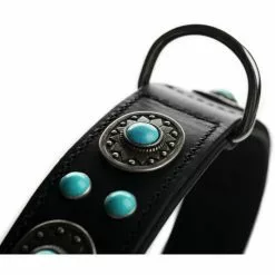 HUNTER Halsband »Sioux«, Gr. M-L, Schwarz -Günstiges Tierbedarf Geschäft unnamed file 9702