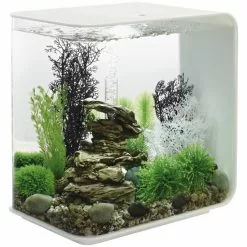OASE Tabletop Aquarien »biOrb FLOW«, Mit LED Beleuchtung, 30 L, Weiss