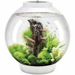 OASE Tabletop Aquarien »biOrb CLASSIC«, Mit LED Beleuchtung, 30 L, Weiss