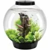 OASE Tabletop Aquarien »biOrb CLASSIC«, Mit LED Beleuchtung, 30 L, Schwarz -Günstiges Tierbedarf Geschäft unnamed file 9747