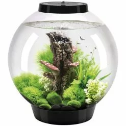 OASE Tabletop Aquarien »biOrb CLASSIC«, Mit LED Beleuchtung, 30 L, Schwarz