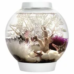 OASE Tabletop Aquarien »biOrb CLASSIC«, Mit LED Beleuchtung, 15 L, Weiss