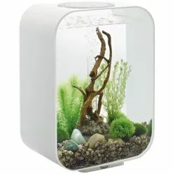 OASE Tabletop Aquarien »biOrb LIFE «, Mit LED Beleuchtung, 15 L, Weiss
