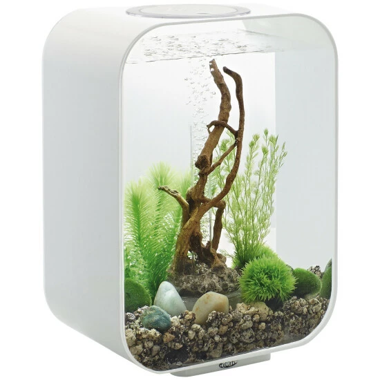 OASE Tabletop Aquarien »biOrb LIFE «, Mit LED Beleuchtung, 15 L, Weiss 3 OASE Tabletop Aquarien »biOrb LIFE «, Mit LED Beleuchtung, 15 L, Weiss