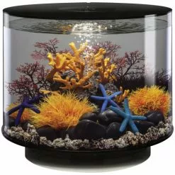 OASE Tabletop Aquarien »biOrb TUBE«, Mit LED Beleuchtung, 35 L, Schwarz