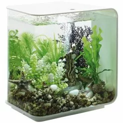 OASE Tabletop Aquarien »biOrb FLOW«, Mit LED Beleuchtung, 15 L, Weiss