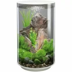 OASE Tabletop Aquarien »biOrb TUBE«, Mit LED Beleuchtung, 30 L, Weiss