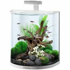 Tetra AquaArt Explorer Line LED Aquarium Weiß 60L 12 Tetra AquaArt Explorer Line LED Aquarium Weiß 60L -Günstiges Tierbedarf Geschäft unnamed file 976