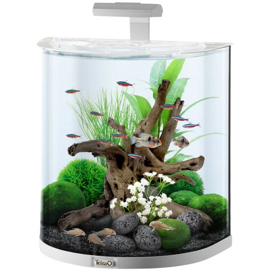 Tetra AquaArt Explorer Line LED Aquarium Weiß 60L 6 Tetra AquaArt Explorer Line LED Aquarium Weiß 60L – Bild 4