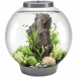 OASE Tabletop Aquarien »biOrb CLASSIC«, Mit LED Beleuchtung, 60 L, Silberfarben