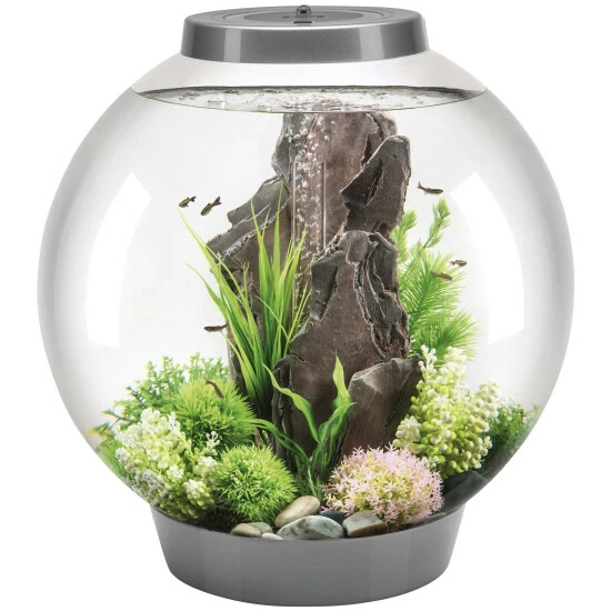 OASE Tabletop Aquarien »biOrb CLASSIC«, Mit LED Beleuchtung, 60 L, Silberfarben 3 OASE Tabletop Aquarien »biOrb CLASSIC«, Mit LED Beleuchtung, 60 L, Silberfarben