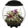 OASE Terrarium »AIR 60«, Mit LED Beleuchtung, 60 L, Schwarz