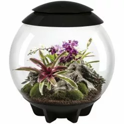 OASE Terrarium »AIR 60«, Mit LED Beleuchtung, 60 L, Schwarz