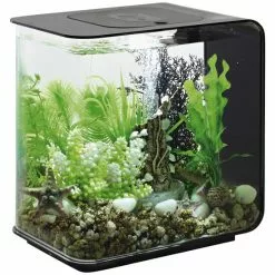OASE Tabletop Aquarien »biOrb FLOW«, Mit LED Beleuchtung, 15 L, Schwarz