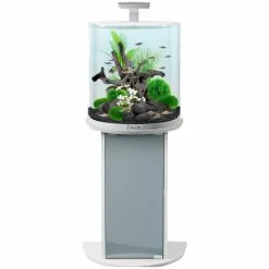 Tetra AquaArt Explorer Line LED Aquarium Weiß 60L 14 Tetra AquaArt Explorer Line LED Aquarium Weiß 60L -Günstiges Tierbedarf Geschäft unnamed file 978