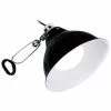 EXO TERRA Porzellanklemmlampe Glow Light Small Schwarz 1 EXO TERRA Porzellanklemmlampe Glow Light Small Schwarz -Günstiges Tierbedarf Geschäft unnamed file 980