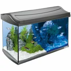 Tetra AquaArt LED Aquarium Komplett-Set Anthrazit 60L -Günstiges Tierbedarf Geschäft unnamed file 995